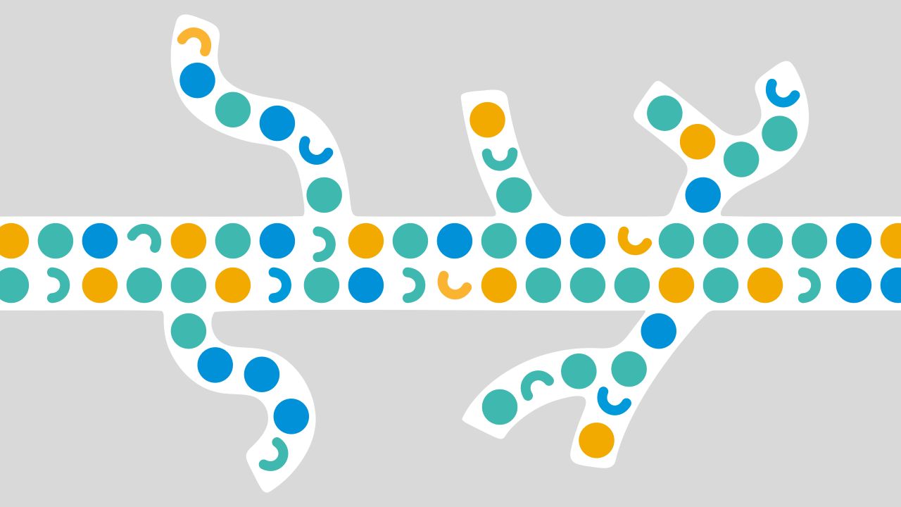 Abstract illustration of a branching pathway filled with teal, blue and gold circles on a light gray background.