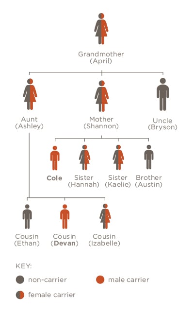 Family tree illustration showing that Cole's grandmother and mother carry X-ALD in their genes, along with Cole and his two sisters but his brother does not.