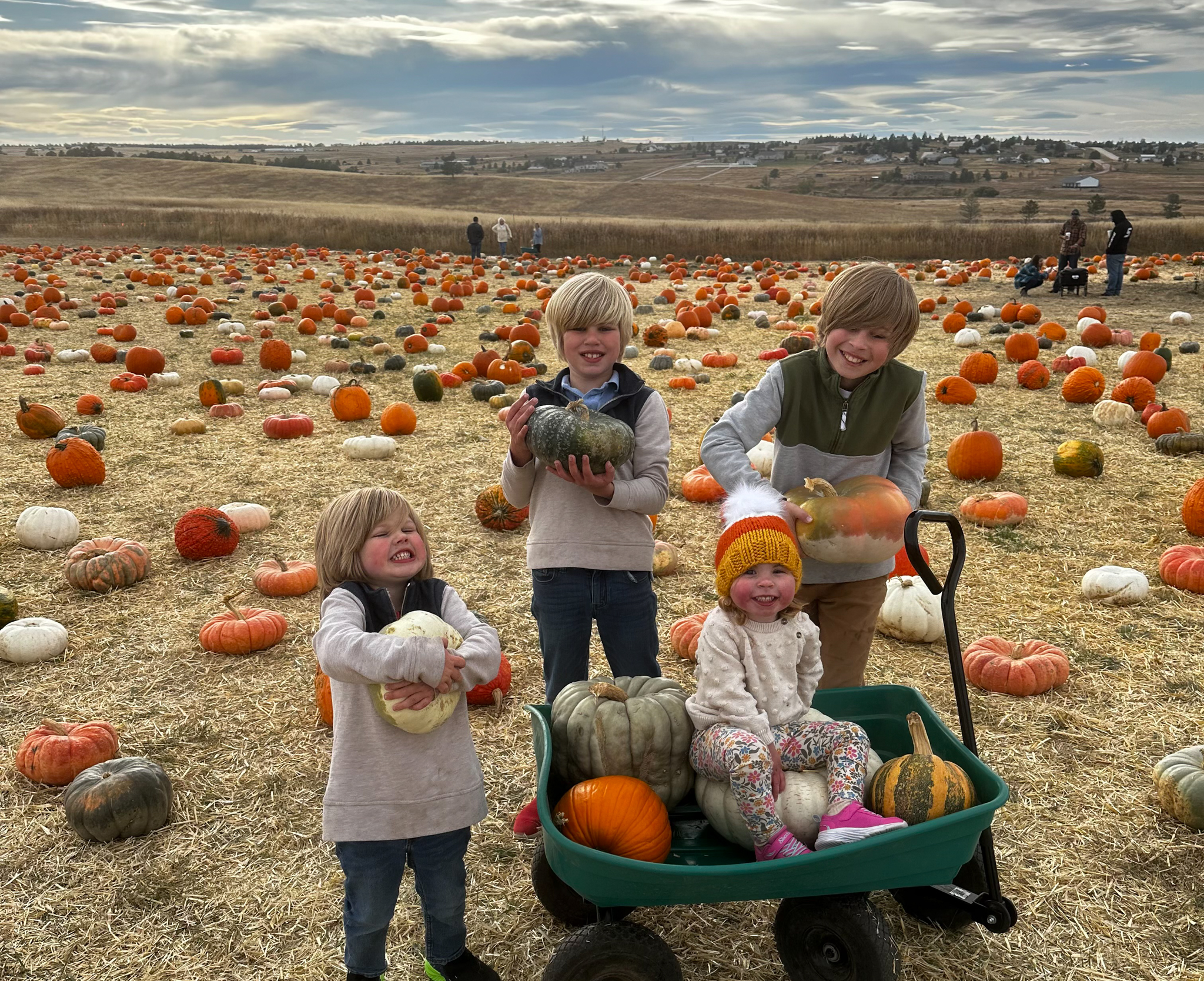 Willow with her brothers picking out pumpkins