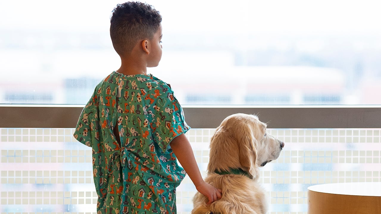 A child stands at a large hospital window gently touching the back of a golden retriever, who also gazes out the window. Both appear comforted by one another.