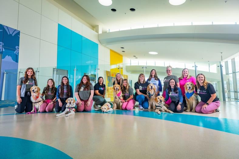 A group of 13 people pose for a picture alongside seven medical dogs in a bright and colorful hospital setting. The dogs are a mixed group of yellow Labradors and golden retrievers.