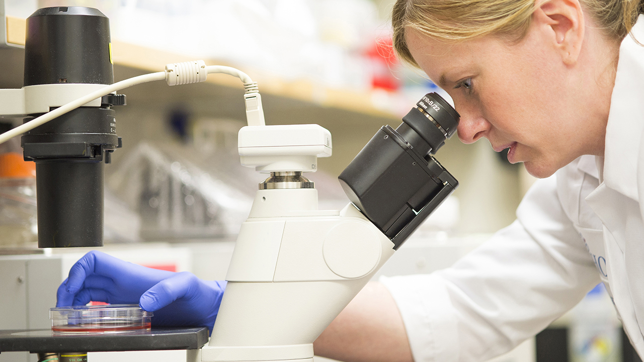 A woman wearing a white lab coat and blue latex gloves looks as a biopsy under a microscope.