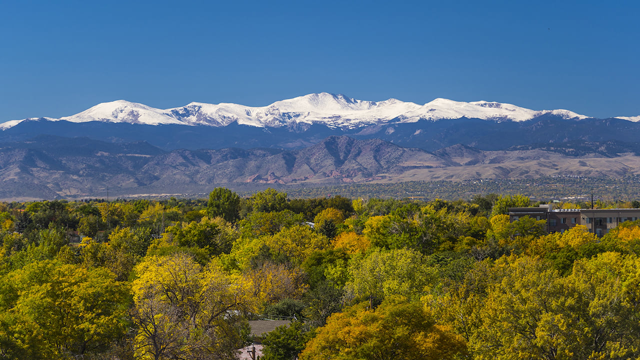 A beauty shot of snow-capped mountains with green and yellow trees in the valley.