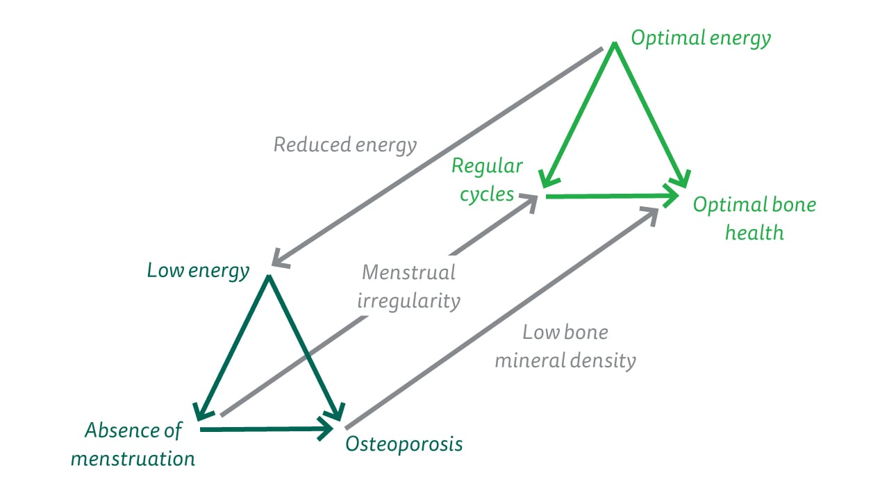 The diagram explains the impact of the female athlete triad.