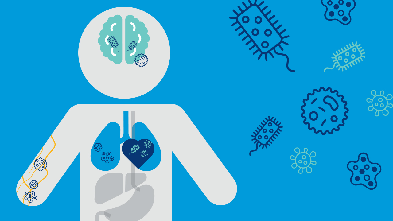 A grey illustration of a person on a blue background with illustrated brain, heart, lungs, blood vessels and other organs in various colors. Colored drawing representations of cells are dispersed throughout.