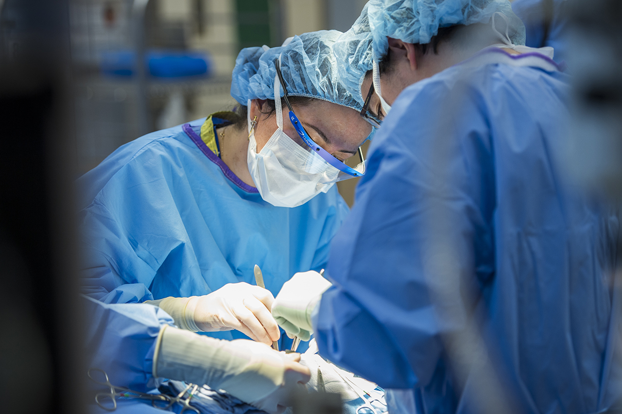 Dr. Andrea Bischoff in Surgical Scrubs Performing Surgery