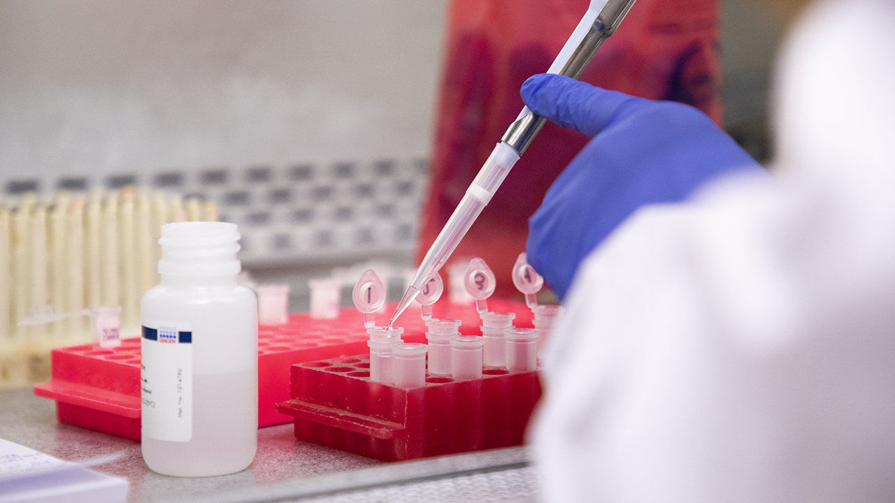 Researcher pipetting into a small tube.