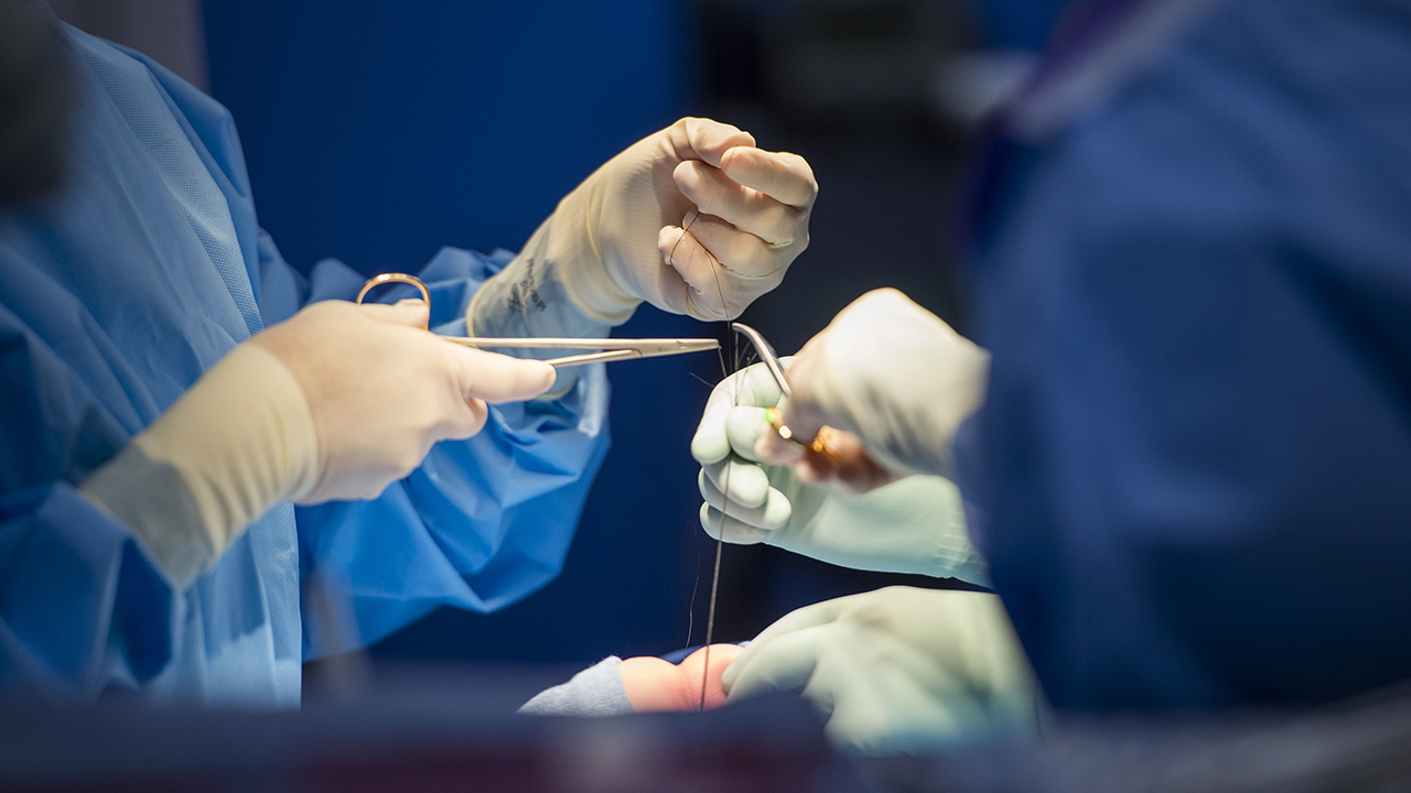 Two surgeons holding surgical tools and performing colorectal surgery