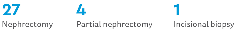 This graphic shows that 27 patients had a nephrectomy, 4 had a partial nephrectomy and 1 had an incisional biopsy. 