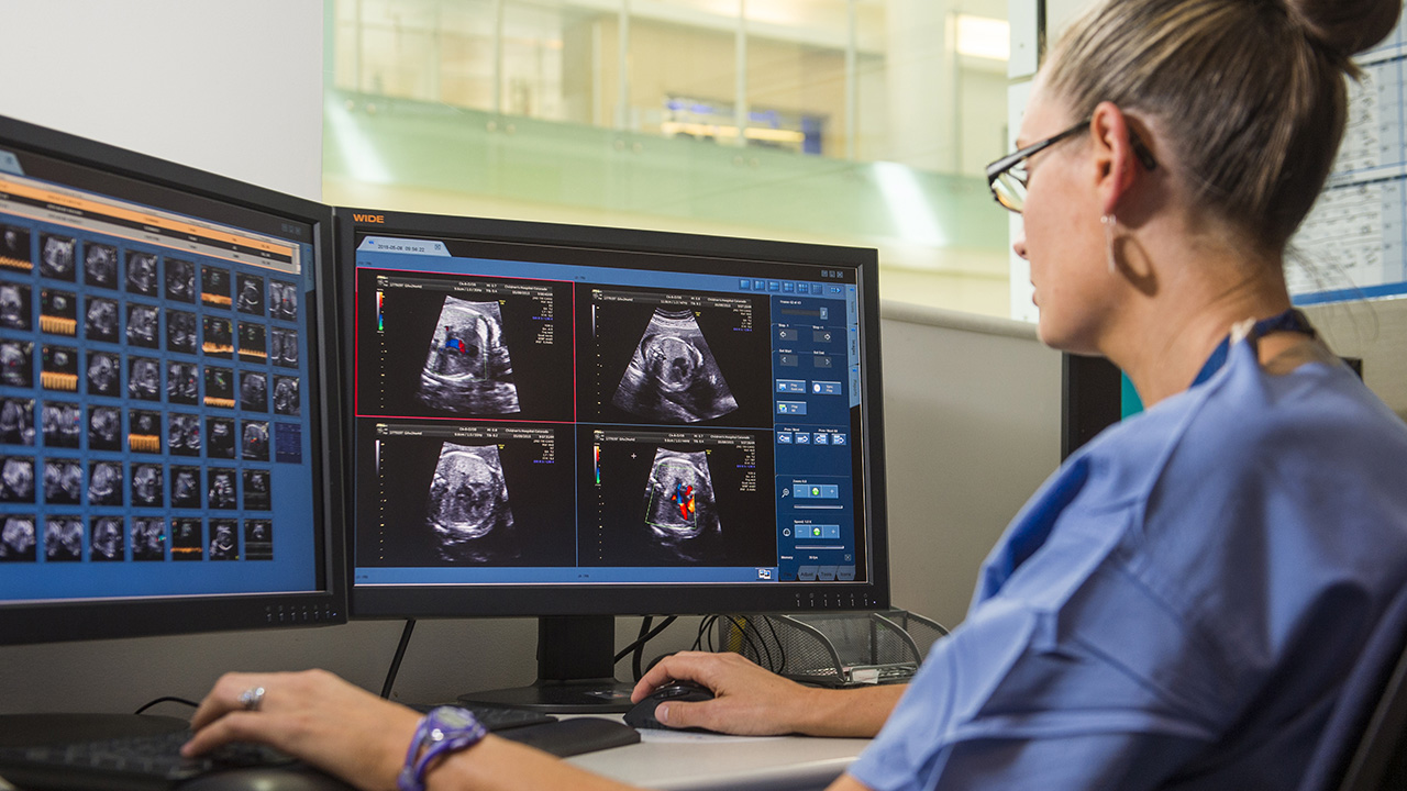 Image of provider looking at ultrasound images on computer