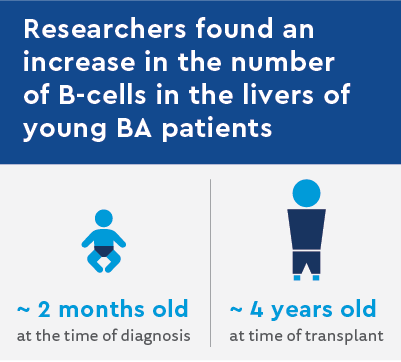 B-Cells in Biliary Atresia