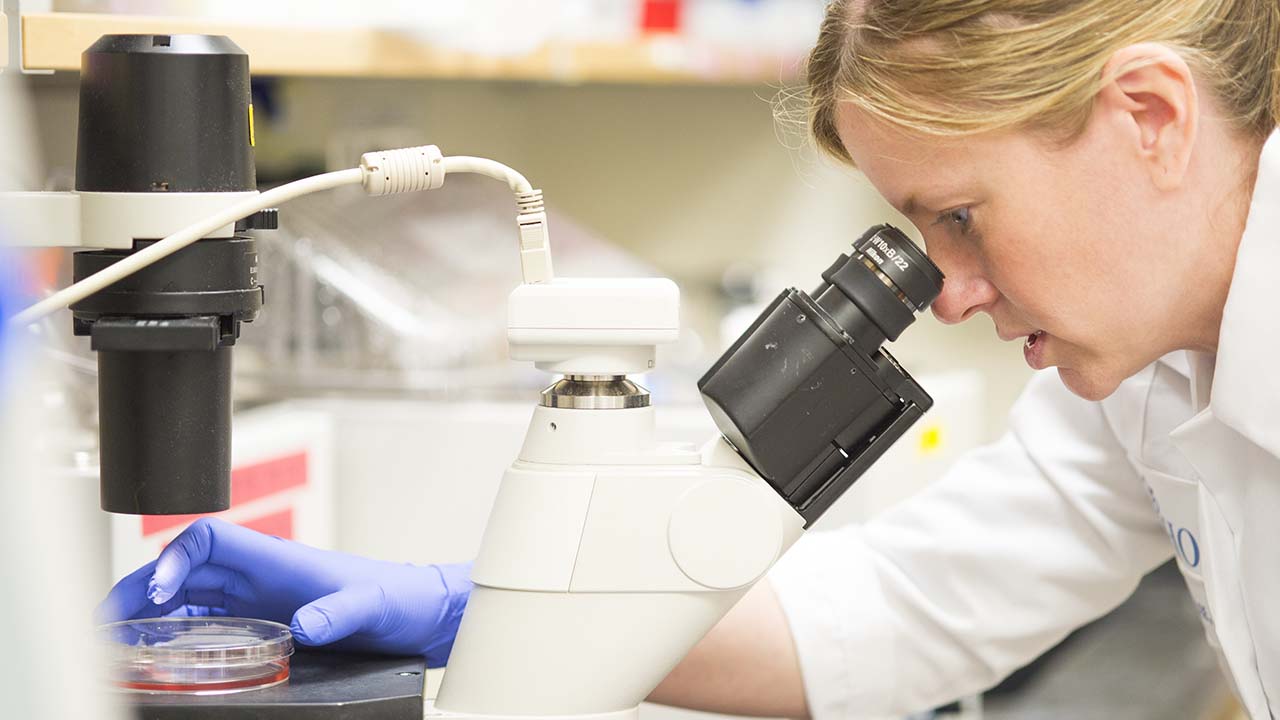 Researcher looking through a microscope